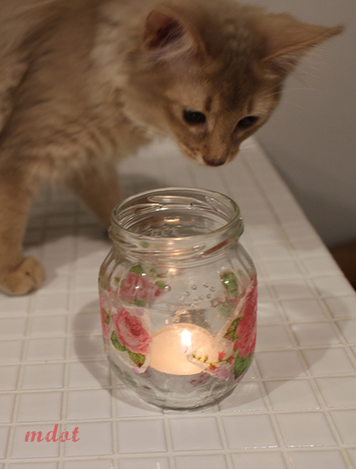 Candle Cover and rose