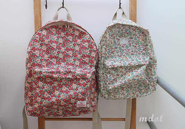 Back Pack for spring