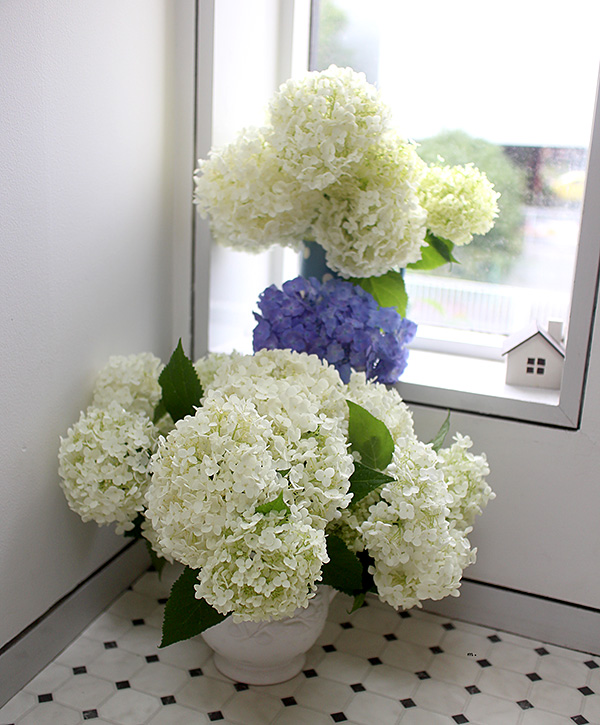 アジサイのドライフラワー完成